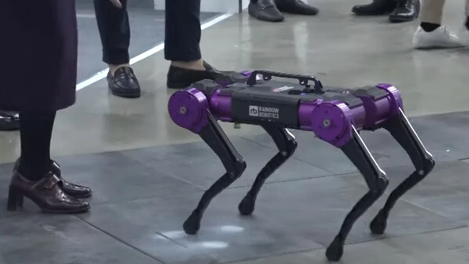 [Breaking] Rainbow Robotics Plunges During Trading, Triggering 'Static VI'... Lifted After 2 Minutes