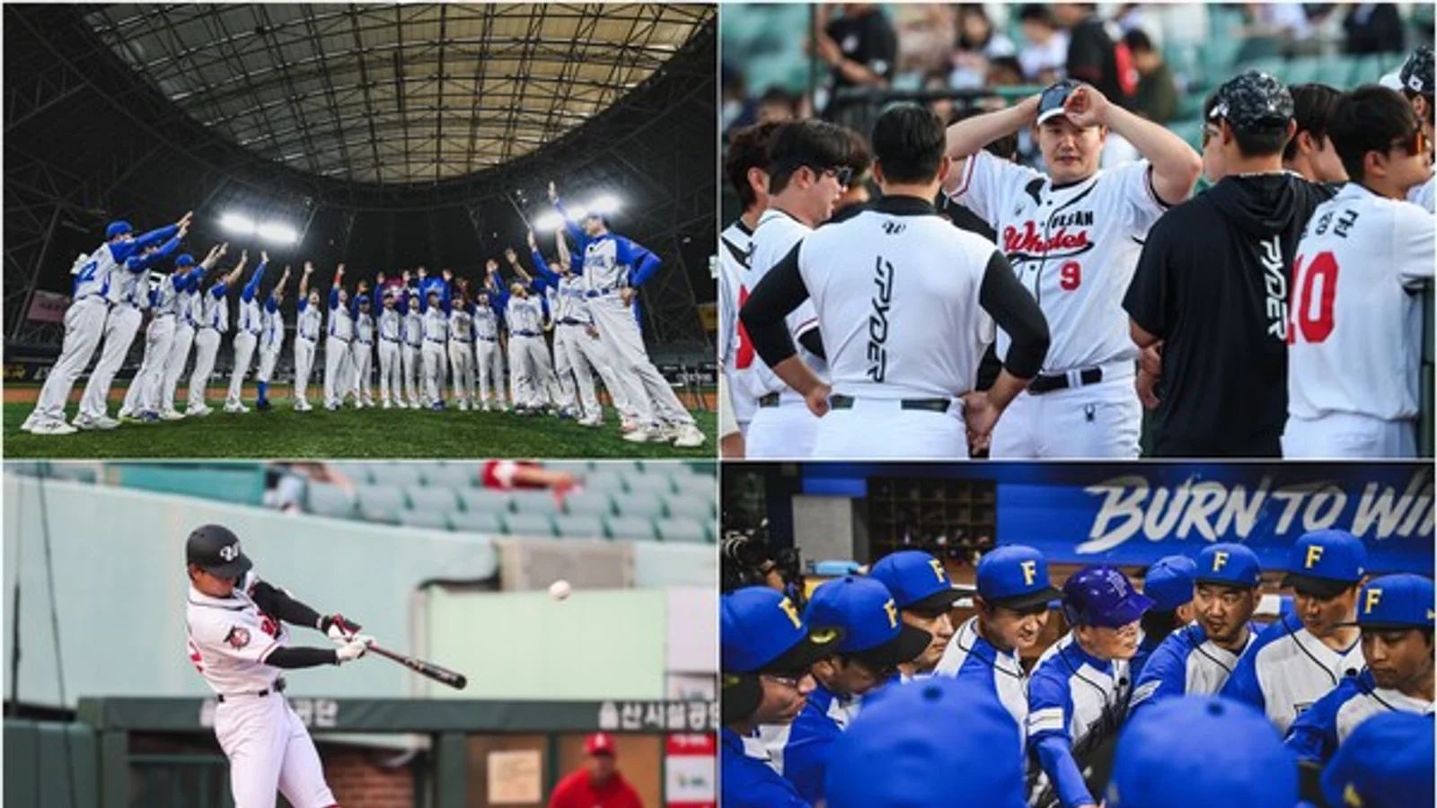 Bulkkot Fighters vs. Ulsan Whales: Showdown at Gocheok Sky Dome on the 12th... Bulkkot Fighters Aim for Another Win at '4-1'